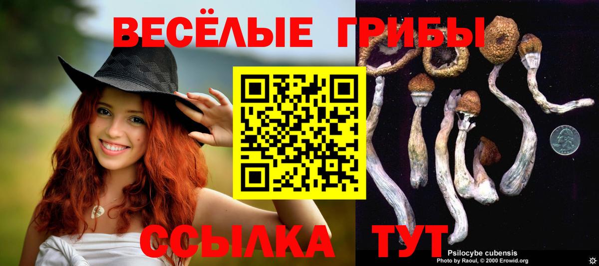 Галлюциногенные грибы мухоморы Уссурийск